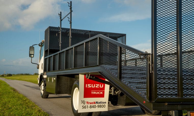 Isuzu Flatbed